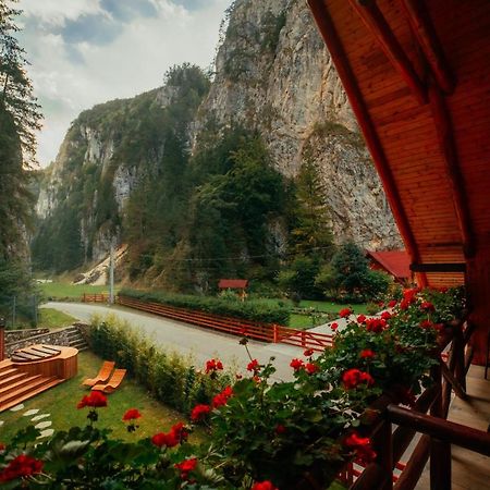 Casa Cheile Dambovicioarei - Cabana 2 Дымбовичоара Экстерьер фото