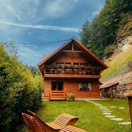 Casa Cheile Dambovicioarei - Cabana 2 Дымбовичоара Экстерьер фото