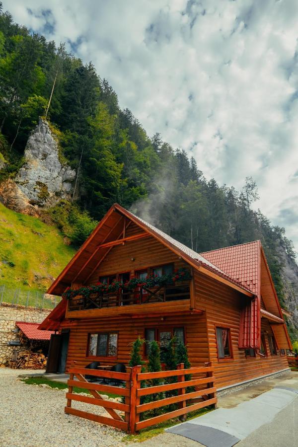 Casa Cheile Dambovicioarei - Cabana 2 Дымбовичоара Экстерьер фото