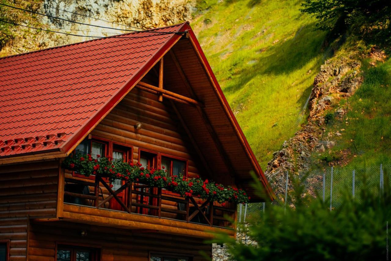 Casa Cheile Dambovicioarei - Cabana 2 Дымбовичоара Экстерьер фото